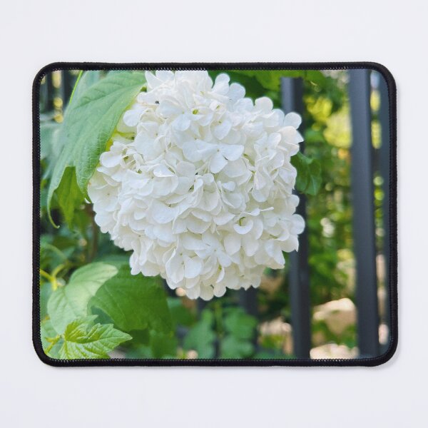 Item preview, viburnum designed and sold by tanghuiyun.
