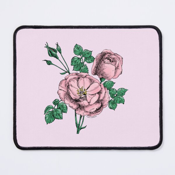 Item preview, Light Pink Cupped Rose Bloom Double 16-25 Petals In 3 Rows designed and sold by Rachael Taylor.