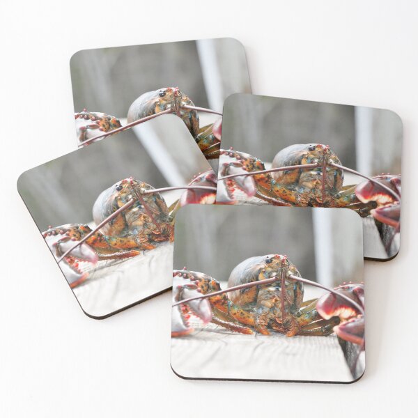 Item preview, Lobster designed and sold by Coolstuff2buy.