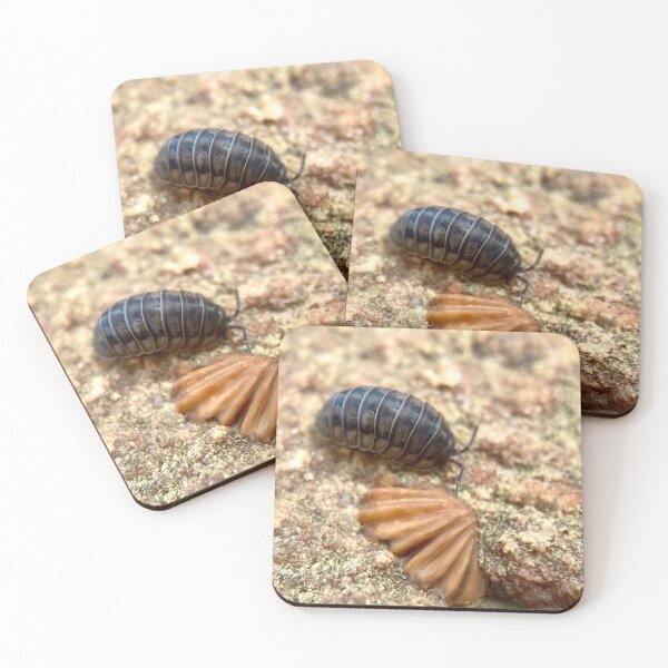 Item preview, Pillbug crawling by a fossil from Kentucky  designed and sold by Katrina Valuyeva.