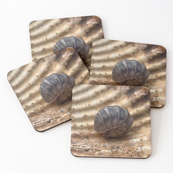 Item preview, Closed pillbug inside a Kentucky fossil  designed and sold by Katrina Valuyeva.