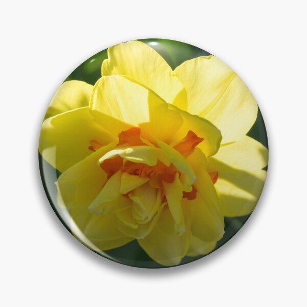 Item preview, Double Daffodil Delight - Sun-kissed Springtime Garden designed and sold by Georgia Mizuleva.