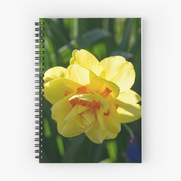 Item preview, Double Daffodil Delight - Sun-kissed Springtime Garden designed and sold by Georgia Mizuleva.
