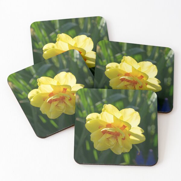 Item preview, Double Daffodil Delight - Sun-kissed Springtime Garden designed and sold by Georgia Mizuleva.