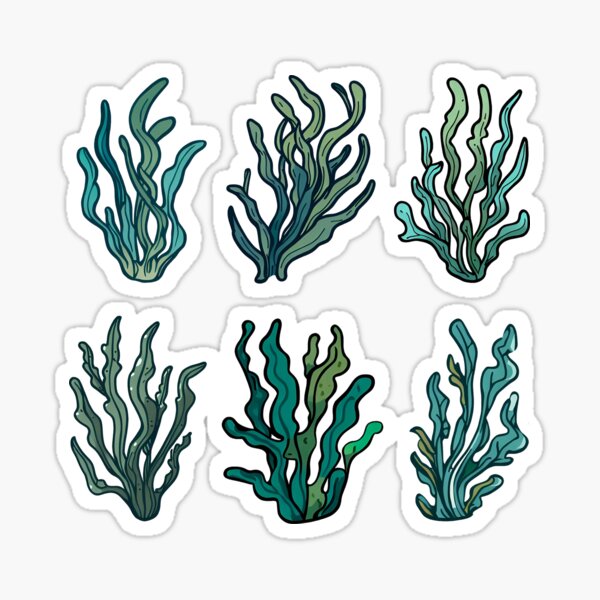 Item preview, Seaweed Pack designed and sold by PI-CO.