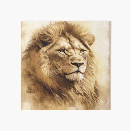 Vintage Lion Drawing with a Touch of Color Art Board Print