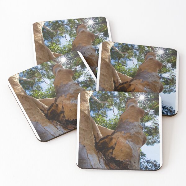 Item preview, Sugar Gum Beauty designed and sold by Coastal West Creative.