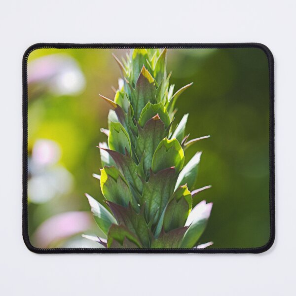 Item preview, Oyster Plant Before Her Flowers designed and sold by Joy Watson - Natural Light Photography .