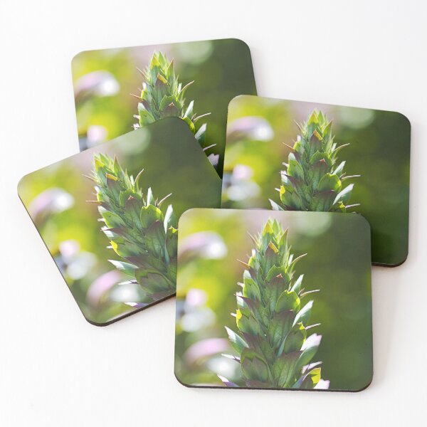 Item preview, Oyster Plant Before Her Flowers designed and sold by Joy Watson - Natural Light Photography .