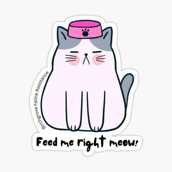 Feed Me Cat Throw Pillow