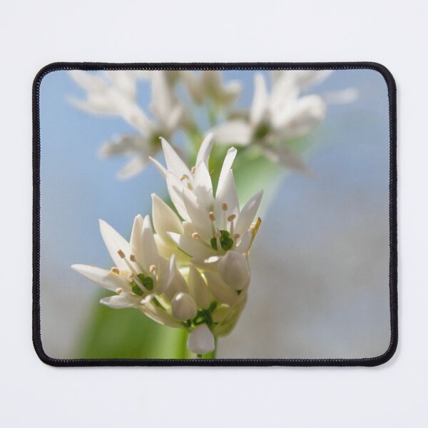 Item preview, Wild Garlic designed and sold by JEZ22.