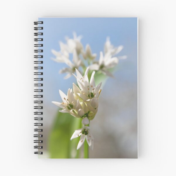 Item preview, Wild Garlic designed and sold by JEZ22.