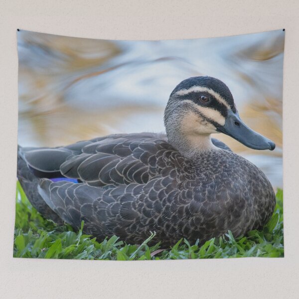 Item preview, Duck designed and sold by Jacquiamber.