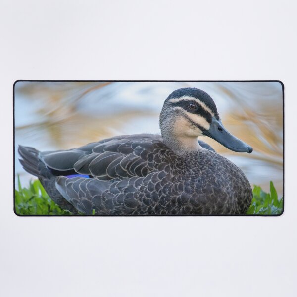 Item preview, Duck designed and sold by Jacquiamber.