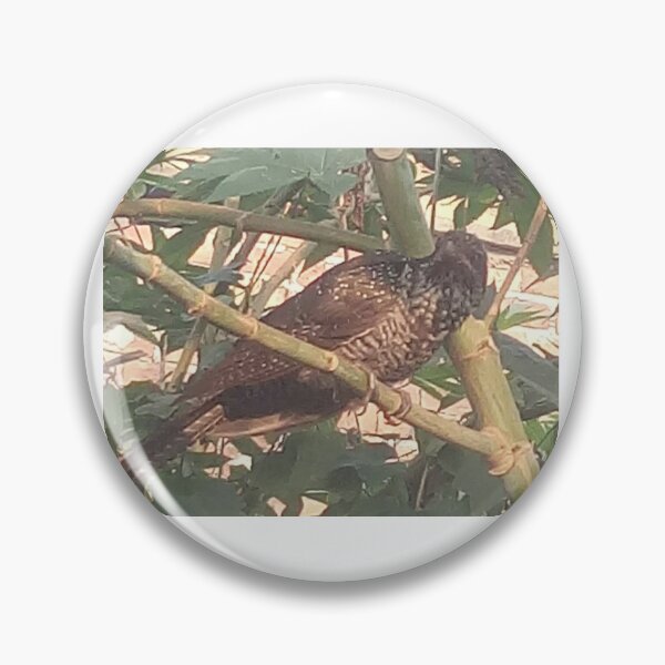 Item preview, magnificent bird brown on tree designed and sold by anil77kiran84.