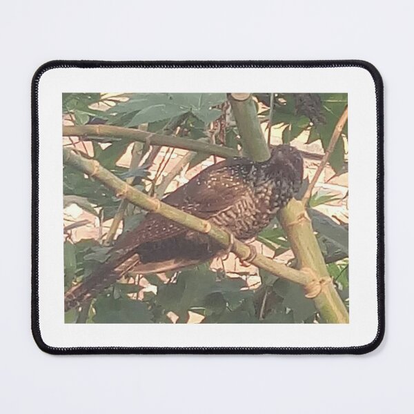 Item preview, magnificent bird brown on tree designed and sold by anil77kiran84.
