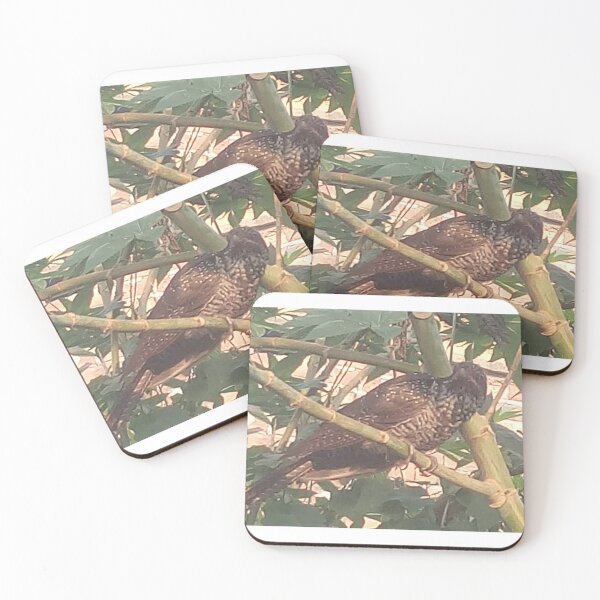 Item preview, magnificent bird brown on tree designed and sold by anil77kiran84.