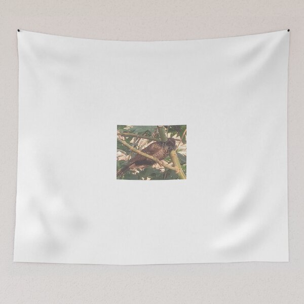 Item preview, magnificent bird brown on tree designed and sold by anil77kiran84.