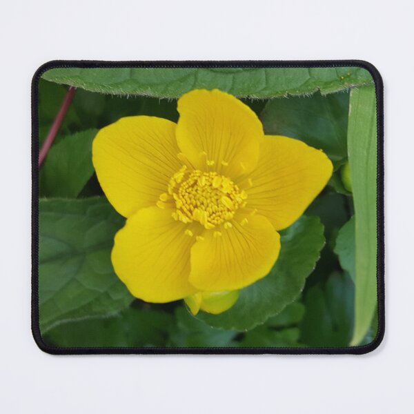 Item preview, Marsh marigold designed and sold by WyldArt.