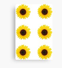 Six Sunflowers Canvas Print