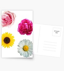 Flowers Set Postcards