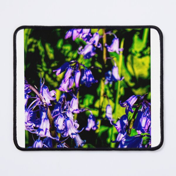 Item preview, Bluebells in Sunlight designed and sold by jalfc46.