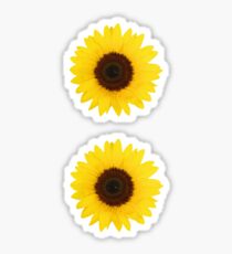 Pegatina Dos girasoles