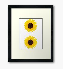 Two sunflowers Framed Print