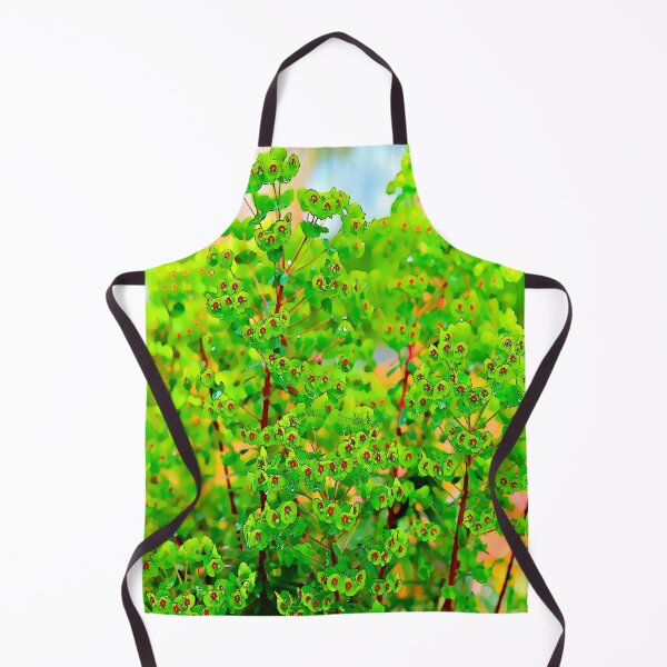 Item preview, Euphorbia Ascot Rainbow designed and sold by santoshputhran.