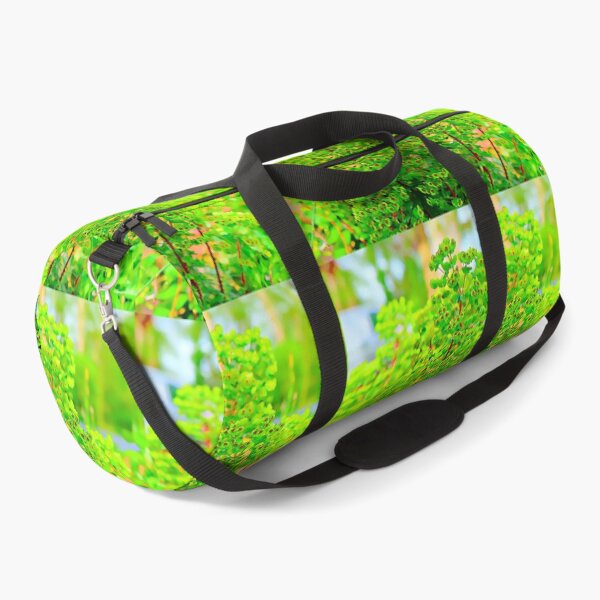 Item preview, Euphorbia Ascot Rainbow designed and sold by santoshputhran.