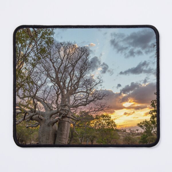 Item preview, Creative Collection - Kimberley Boab Tree at Sunset designed and sold by Coastal West Creative.