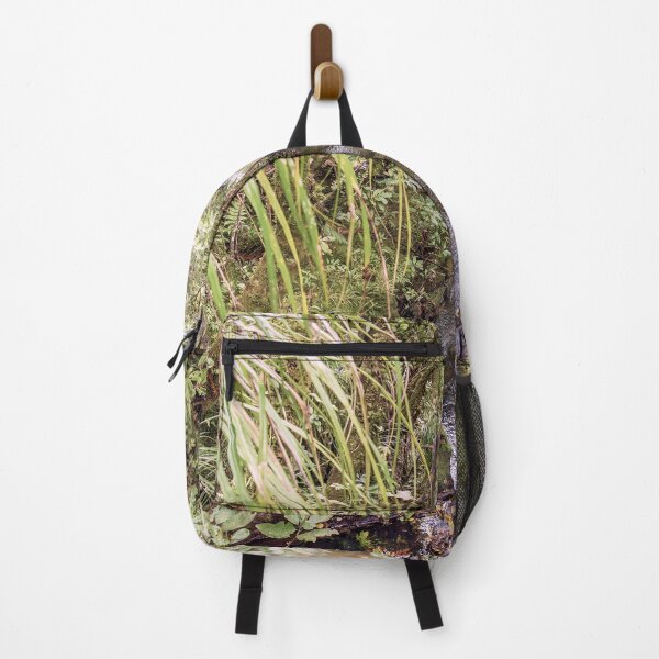 Item preview, Waipoua Forest - North Island, New Zealand designed and sold by Josette Halls.