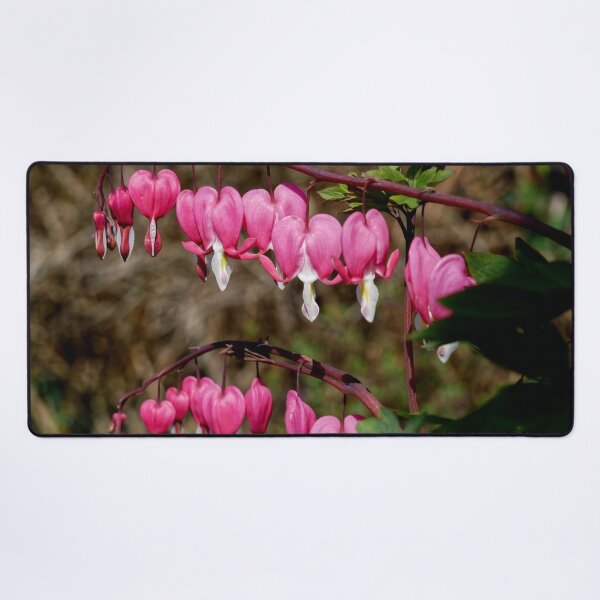 Item preview, Bleeding Hearts designed and sold by jalfc46.
