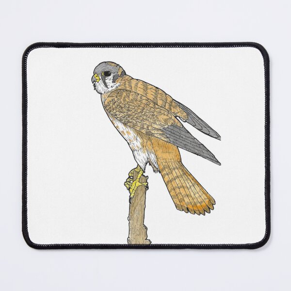 Item preview, Female American Kestrel designed and sold by VonRavenDesign.