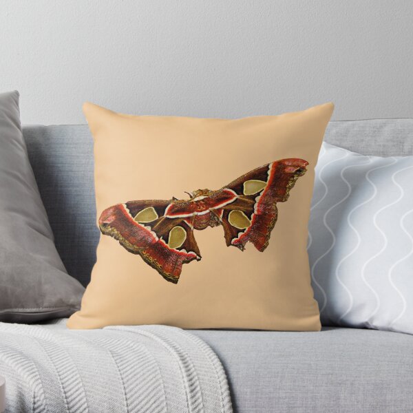 Tropical Butterfly Throw Pillow