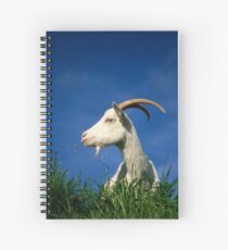 Goat Spiral Notebook