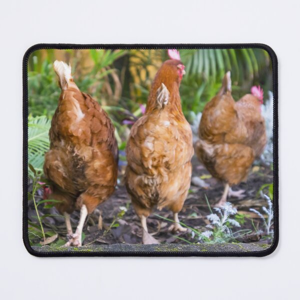 Item preview, Feather Friends Collection - Chicken Bottoms designed and sold by Coastal West Creative.