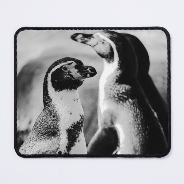 Item preview, Humboldt Penguins Black and White Vertical Nature Beauty designed and sold by eddiebarronshop.