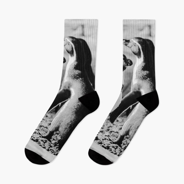 Item preview, Humboldt Penguins Black and White Vertical Nature Beauty designed and sold by eddiebarronshop.