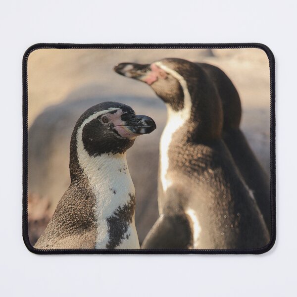 Item preview, Humboldt penguins nature lovers vertical exploris designed and sold by eddiebarronshop.