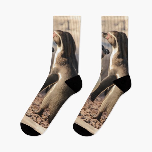 Item preview, Humboldt penguins nature lovers vertical exploris designed and sold by eddiebarronshop.