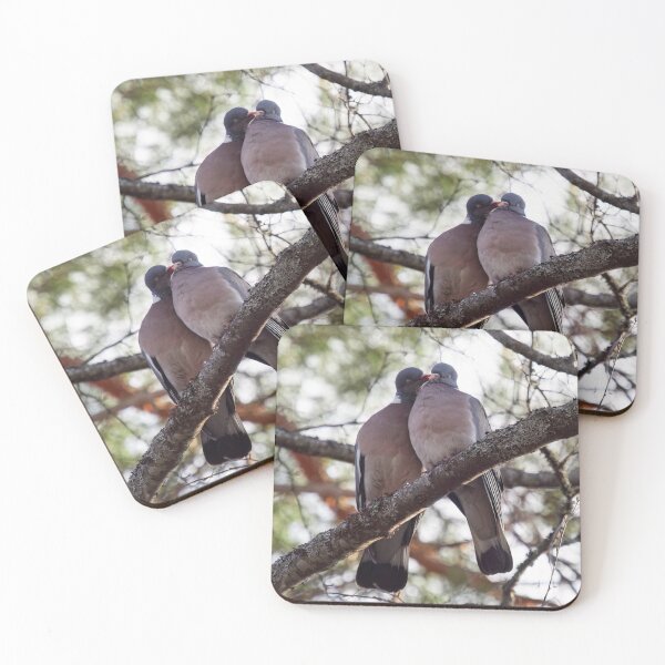 Item preview, Talking dirty. Wood pigeon designed and sold by Jouko Lehto Photography.