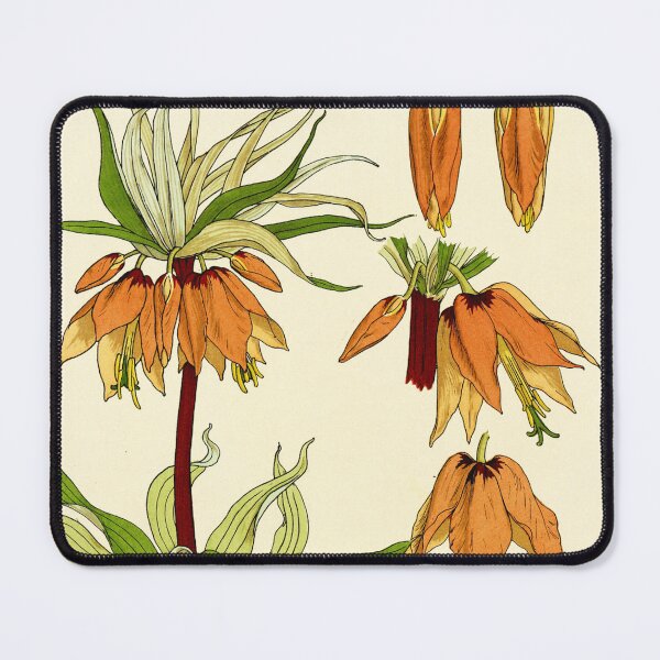 Item preview, French botanical flower plate - Maurice Verneuil - Couronne Imperiale designed and sold by Gardenlibrary.
