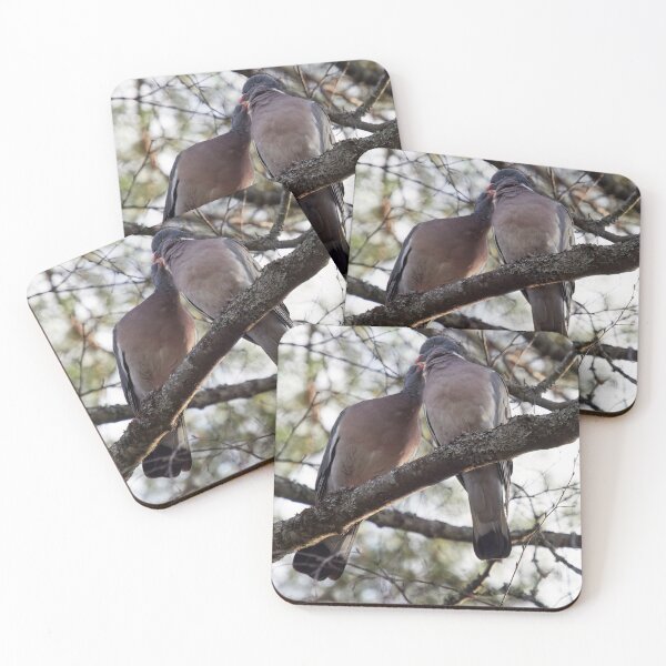 Item preview, Give me a kiss. Wood pigeon designed and sold by Jouko Lehto Photography.