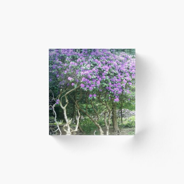 Item preview, Rododendro con flores lilas designed and sold by JANDR-Designs.