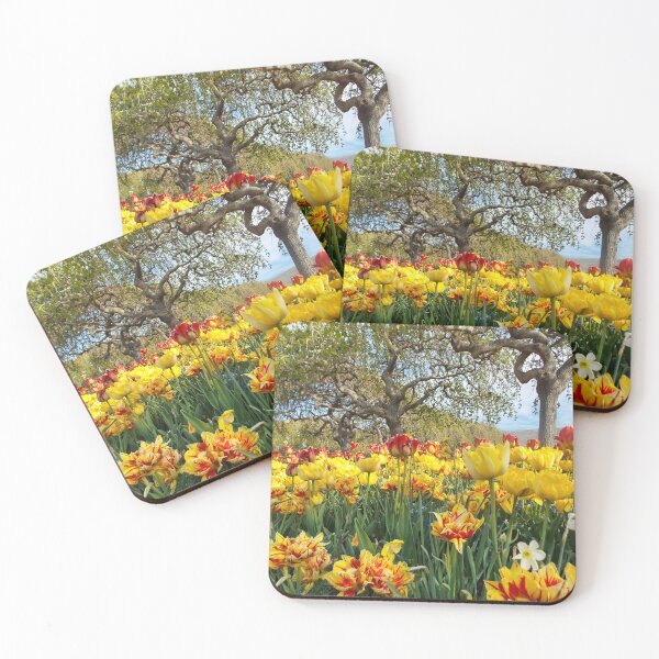 Item preview, Tulip Fest -Nikon  designed and sold by OnigiriSuiko.