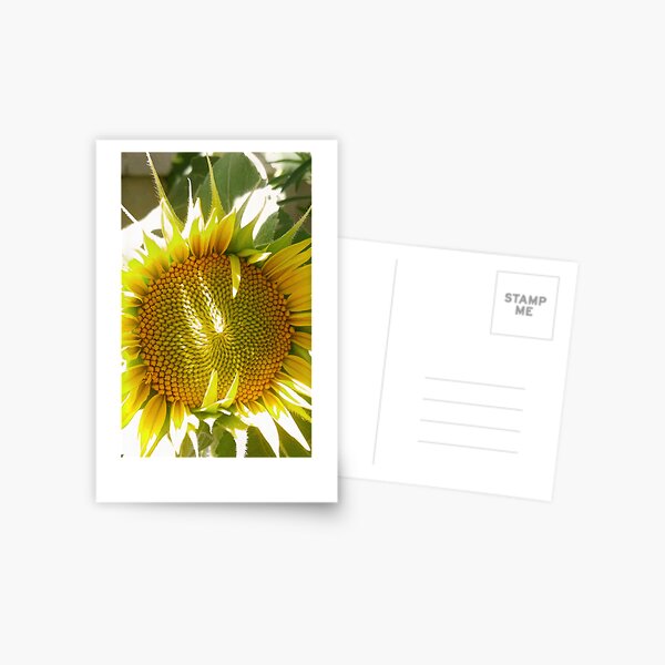 Item preview, Fibonacci Sunflower designed and sold by DesignerRae.