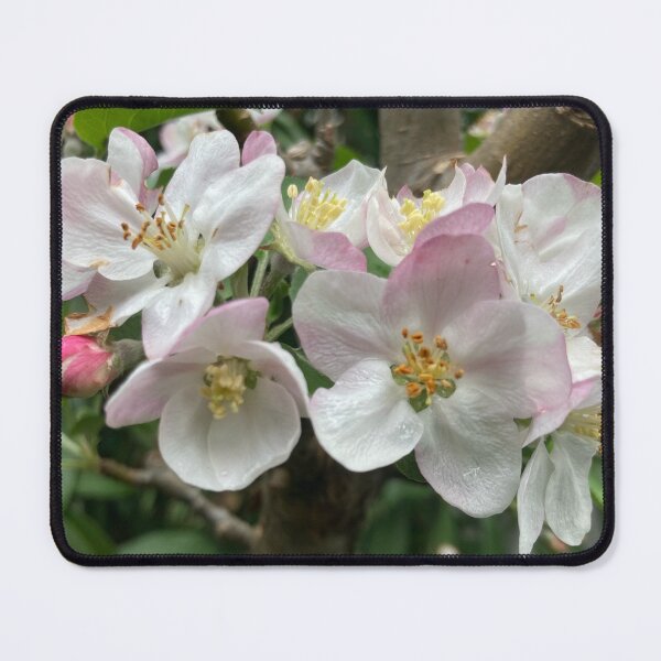 Item preview, Apple Blossoms  designed and sold by Amanda1775.