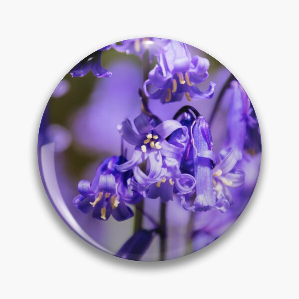 Item preview, English Bluebells designed and sold by JEZ22.