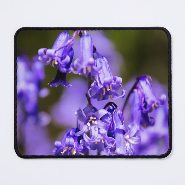Item preview, English Bluebells designed and sold by JEZ22.